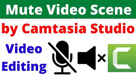 How To Remove Audio Sound From Video Mute Audio Sound Of Video In