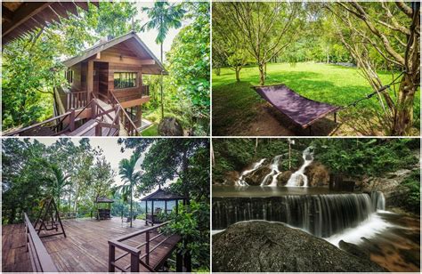 Templer Park Rainforest Retreat Rawang Wedding Research