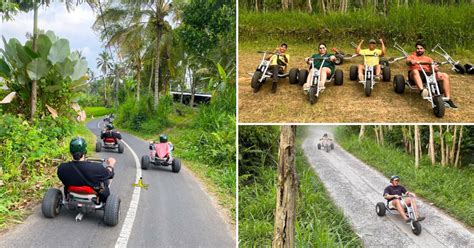 Race through scenic roads at this jungle carting spot in Bali