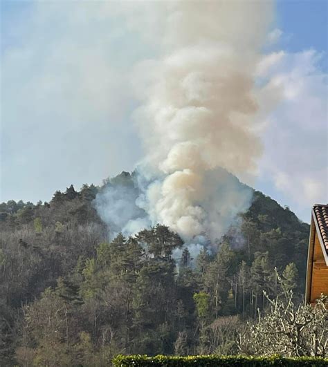 Cinquanta Ettari Di Bosco Andati In Fumo Il Rogo Ha Disorientato Anche