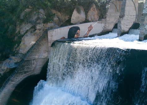 Neue Aquatic Murals von Künstler Sean Yoro aka HULA