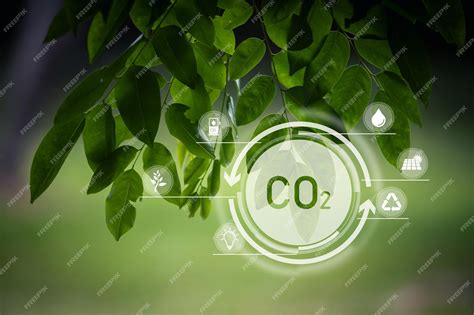 Gás Co2 Para Que Serve - O dióxido de carbono ou co2 é um gás incolor que, ao inalar esse gás em ...