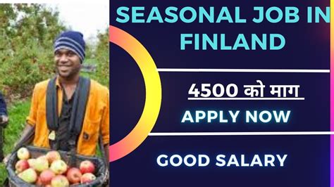 Seasonal Work Visa In Finland Ll How To Apply Seasonal Job In