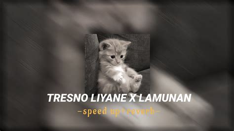 Tresno Liyane X Lamunan Speed Up Reverb Youtube