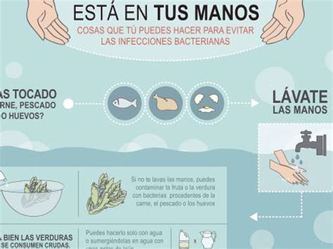 Prevención de la Legionella en sistemas de agua riesgos y medidas