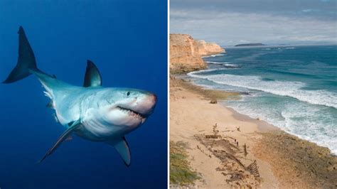 Teenage Surfer Mauled To Death By Shark In Australia In Front Of