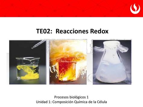 Reacciones Redox Maritrit Udocz