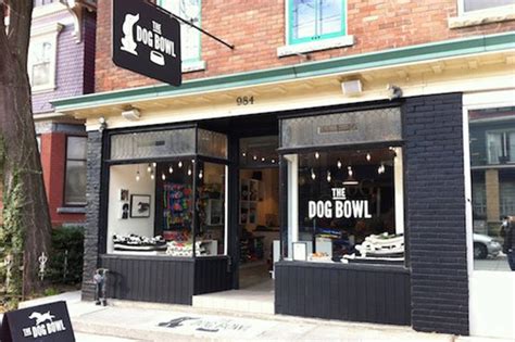 The Best Pet Stores In Toronto