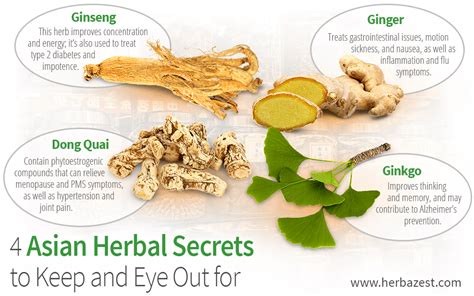 4 Asian Herbal Secrets To Keep An Eye Out For Herbalism Tcm Traditional Chinese Medicine