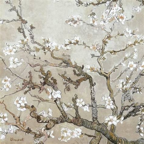 Almond Branches In Bloom San Remy C 1890 Tan Art Print Vincent