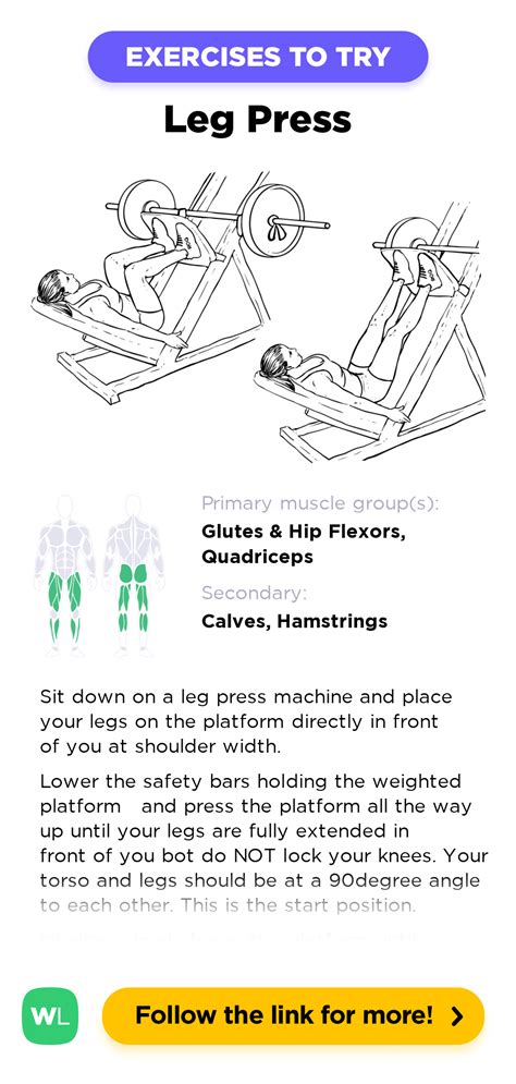 Leg Press / Machine Squat Press – WorkoutLabs Exercise Guide