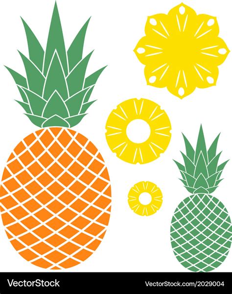 Pineapple Royalty Free Vector Image Vectorstock