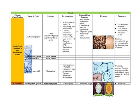 Mycology Organism Table Fungi Clinical Classification Name Of Fungi