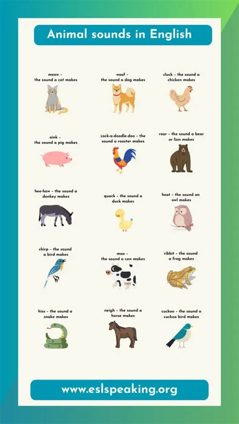 Animals and their Sounds (List & Pictures) | Animal Onomatopoeia