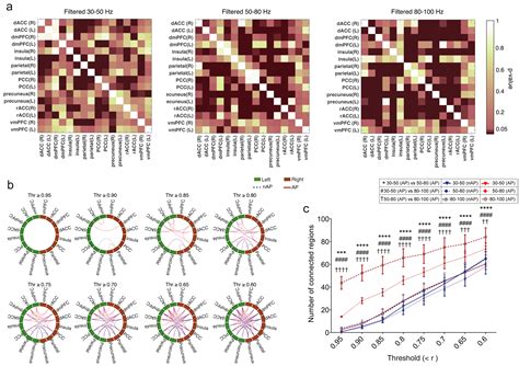 Nasal Air Puff Promotes Default Mode Network Activity In Mechanically