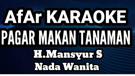 Pagar Makan Tanaman Mansyur S Karaoke Nada Wanita Lirik Youtube