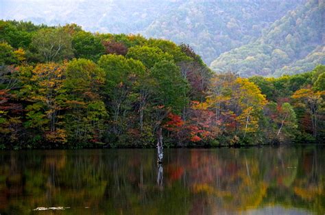 Wallpaper Wood Autumn Lake Reflection Tree Water Leaves Forest