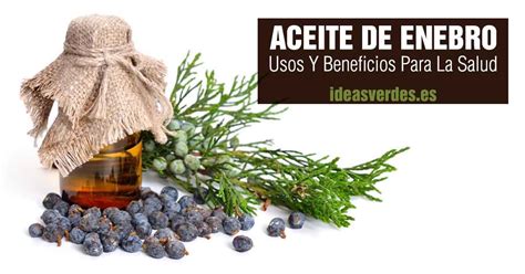 Aceite De Enebro Usos Y Propiedades Para Que Sirve Ideas Verdes