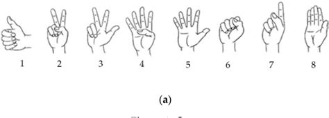 Figure 1 From High Density Surface EMG Based Gesture Recognition Using