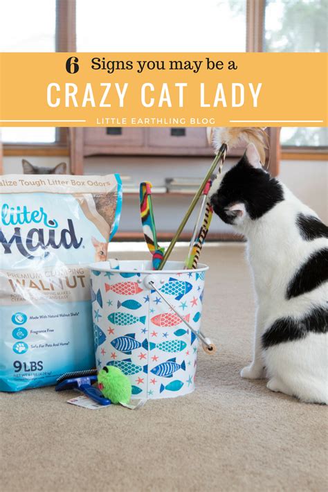 Six Signs You May Actually Be A Crazy Cat Lady