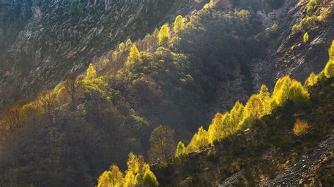 provinsi   dibentuk  jawa barat  daftar wilayah