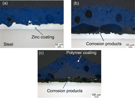 Cross Sections Of The Polymer Coatings Exposed To A 01 Moll H 2 So