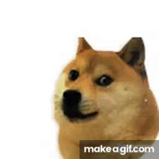 Bonk on Make a GIF