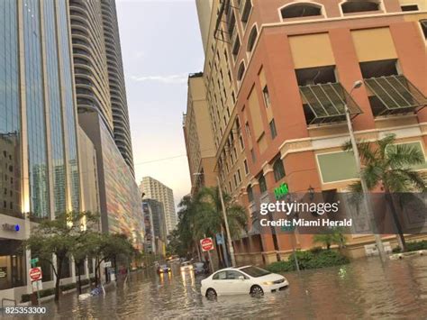 Miami Floods Photos and Premium High Res Pictures - Getty Images