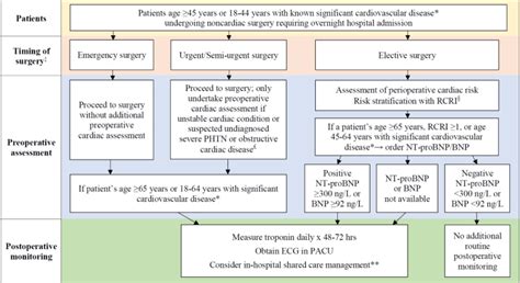 BNP elevated – what now!?? – Critical Care Northampton