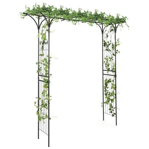 Arche Pour Plantes Grimpantes Top De Comparatif Des