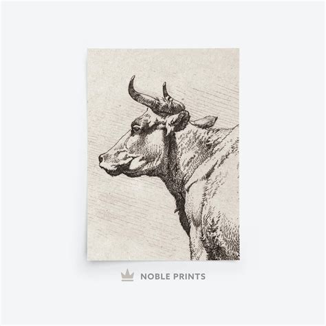 Vintage Cow Sketch, Printable, Farmhouse, Digital Download - Etsy