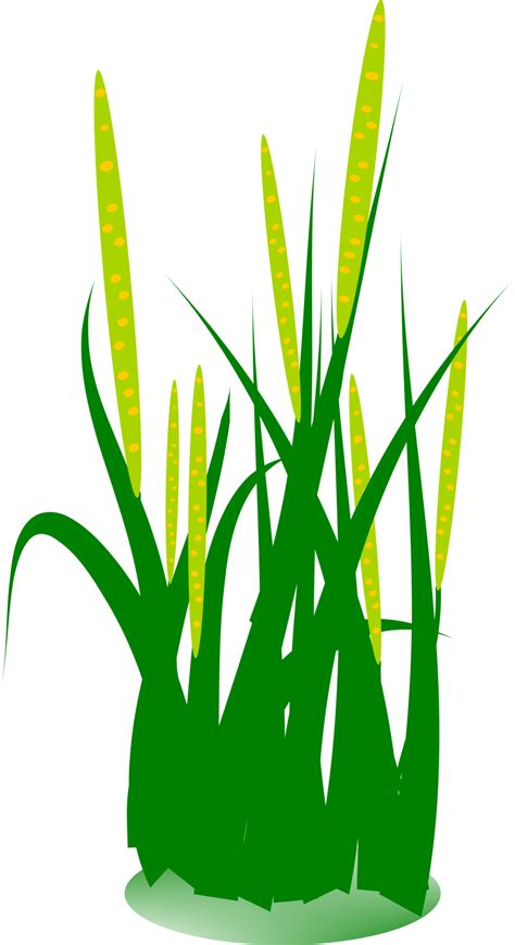 Green grass clip art 31394831 PNG