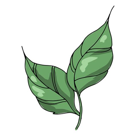 leaves illustration png svg design   shirts