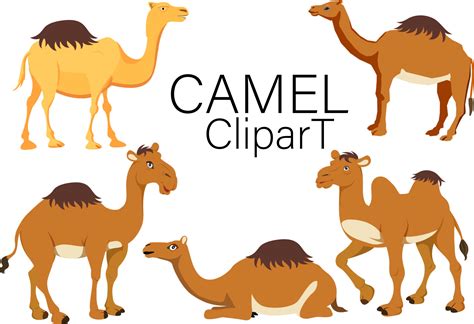 Camel Cartoon Clip Art