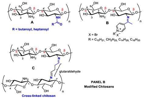 Chitosans And Nanochitosans Encyclopedia Mdpi