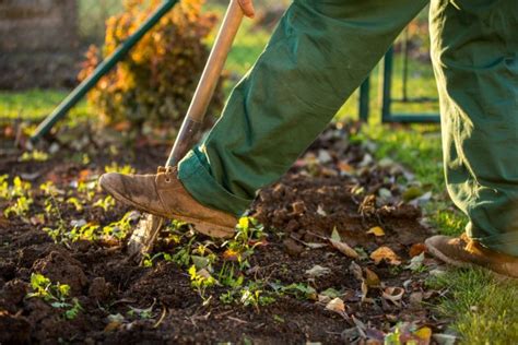 Soil Health For Sustainable Agriculture Open Access Government