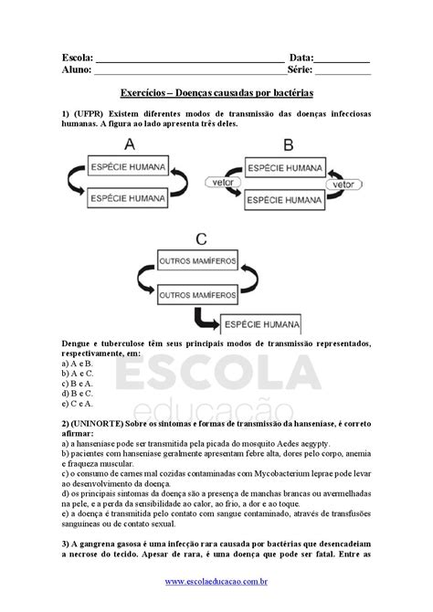 Atividades Sobre Bactérias 4 Ano Com Gabarito Braincp