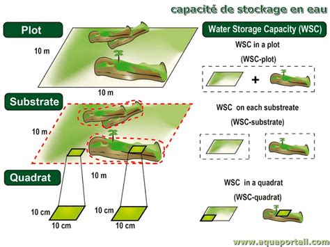 Capacité de stockage en eau définition et explications