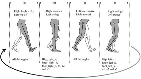 Postures Representing Different Parts Of Gait Phases Download Scientific Diagram