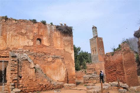 Maroc dans les ruines de la nécropole de Chellah à Rabat 스톡 사진 Adobe