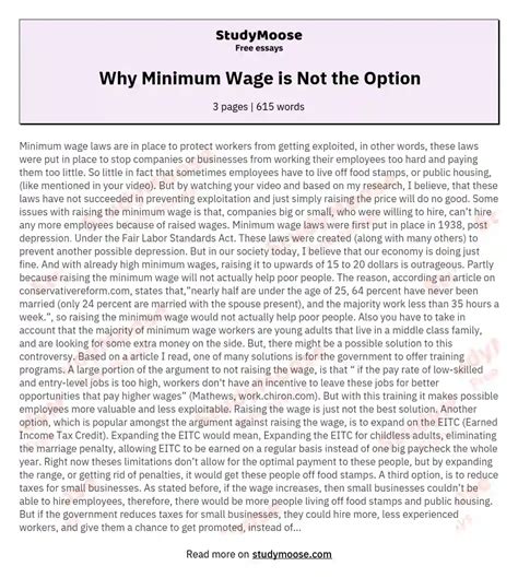 Why Minimum Wage Is Not The Option Free Essay Example