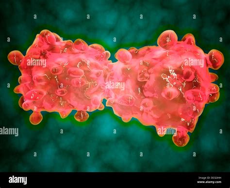 Vue microscopique d une cellule de la leucémie Photo Stock Alamy