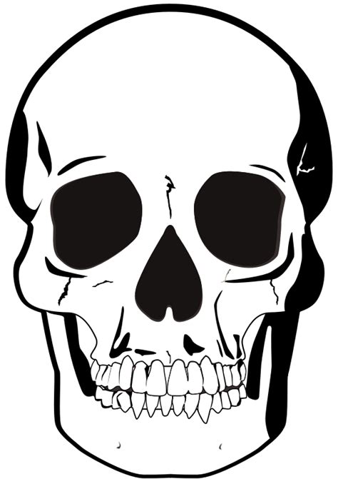 Black & White Skull - Openclipart