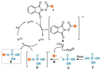 Photoinduced Decarboxylative Phosphorothiolation Of N