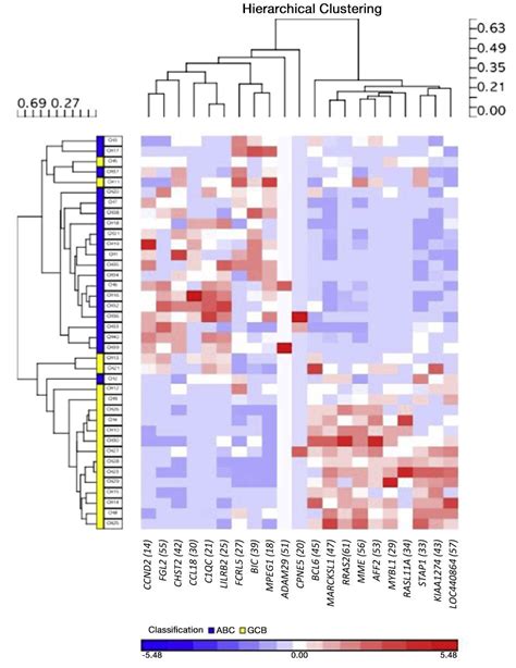 Quantigene Gene Expression Assays For Biomarker Verification Thermo