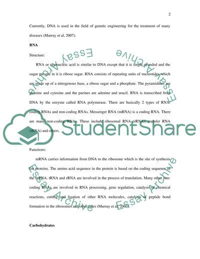 Biological Molecules Essay Example Topics And Well Written Essays