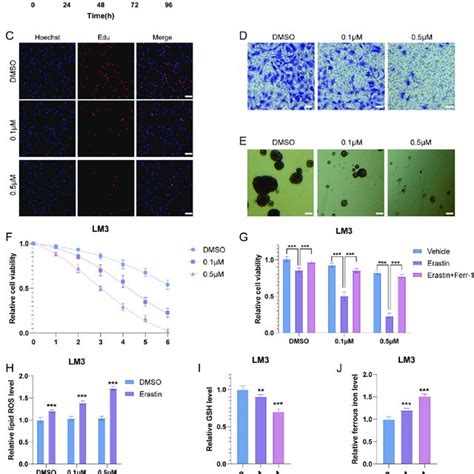 Dub In 3 Inhibits Hcc Cell Proliferation Invasion Stem Like Download Scientific Diagram