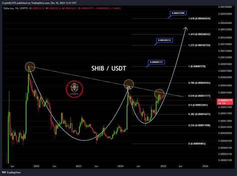 Shiba Inu Lead Developer On Shib Burns Purpose Impact And Community