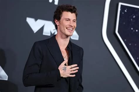 Shawn Mendes Y La Complejidad De Su Sexualidad Entre Especulaciones Y