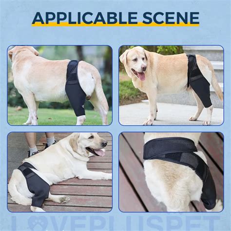 Best Dog Knee And Leg Brace For Torn Acl For Sale Lovepluspet